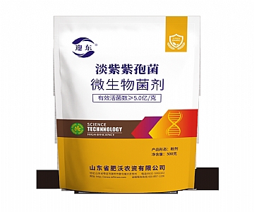 �������߾�����Ч�������5.0��/�ˣ�